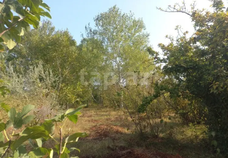 0 m² Obyekt / Ofis , Xaçmaz