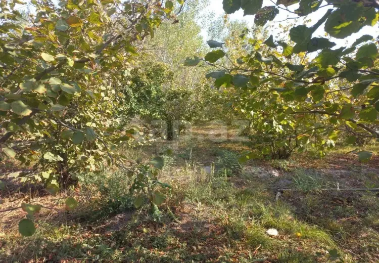 0 m² Obyekt / Ofis , Xaçmaz