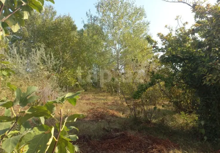 0 m² Obyekt / Ofis , Xaçmaz