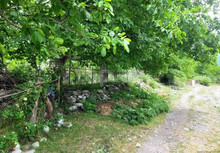 0 m² Obyekt / Ofis , Oğuz