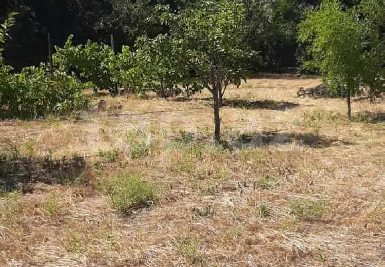 0 m² Obyekt / Ofis , Mərdəkan, Xəzər, Bakı