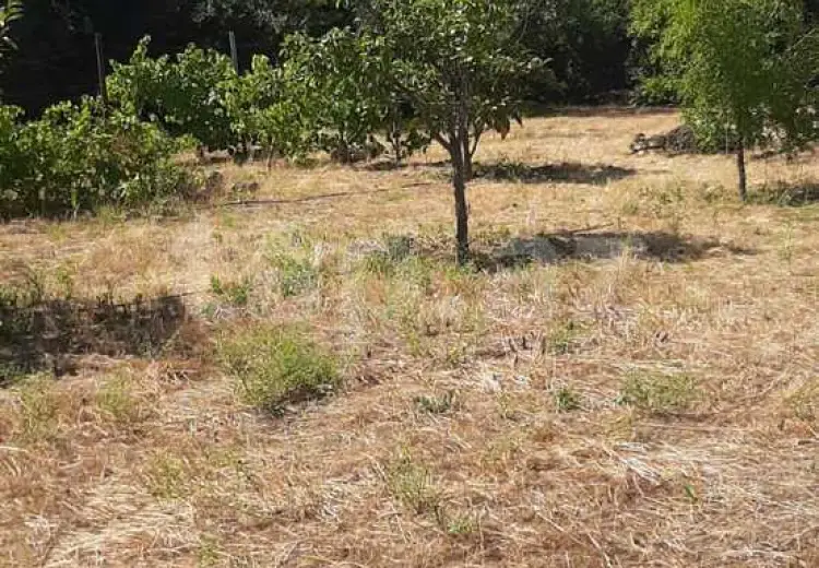 0 m² Obyekt / Ofis , Mərdəkan, Xəzər, Bakı