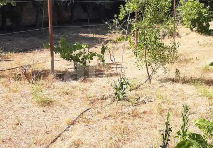 0 m² Obyekt / Ofis , Mərdəkan, Xəzər, Bakı