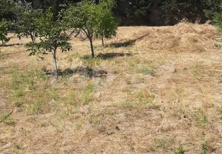 0 m² Obyekt / Ofis , Mərdəkan, Xəzər, Bakı