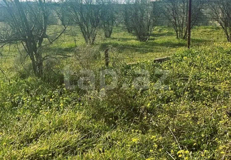 0 m² Obyekt / Ofis , Novxanı, Abşeron