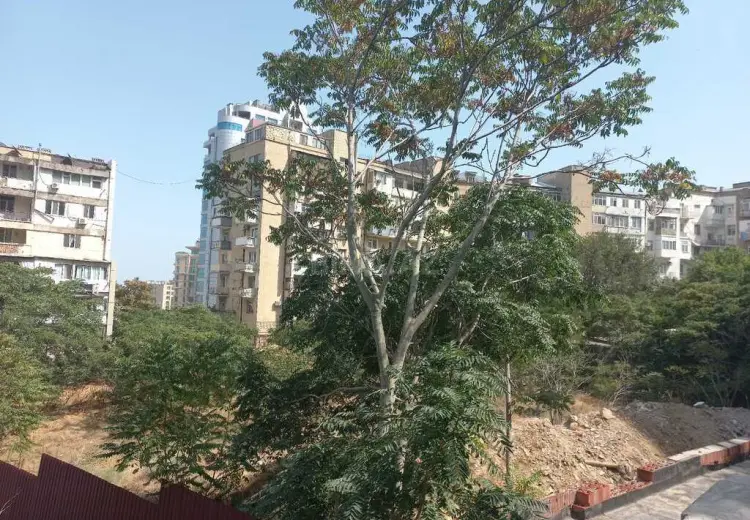 18 sot Torpaq Satılır, Yasamal, Bakı
