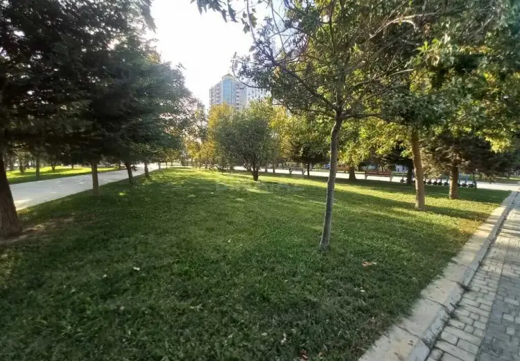 100 m² Obyekt / Ofis Satılır, Nəsimi, Bakı