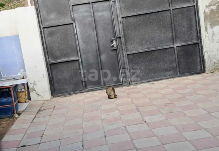 3 otaqlı mənzil , Xırdalan