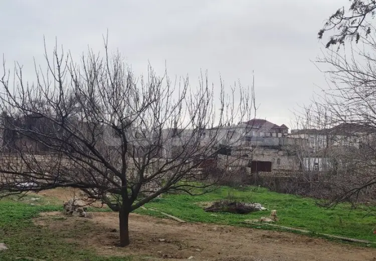 0 m² Obyekt / Ofis , Bilgəh qəs., Sabunçu, Bakı