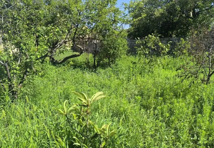 12 sot Torpaq Satılır, Novxanı, Abşeron