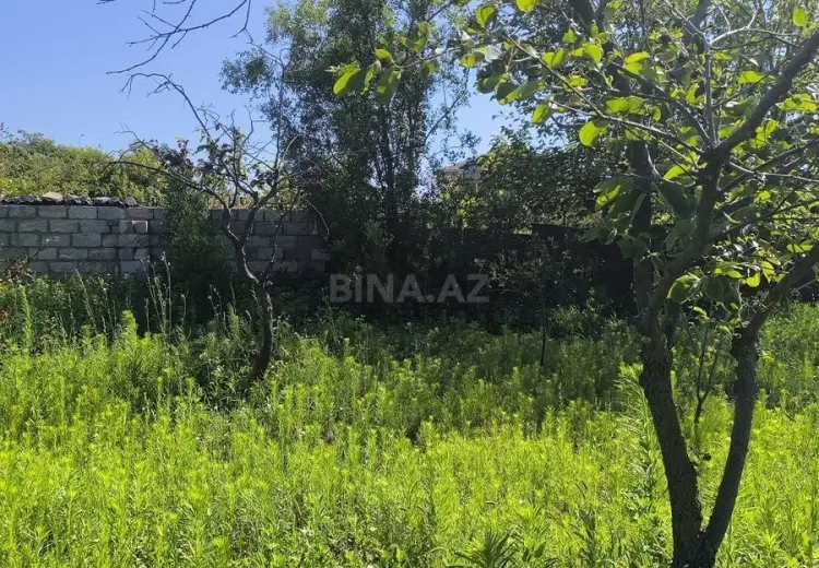 4 sot Torpaq Satılır, Novxanı, Abşeron
