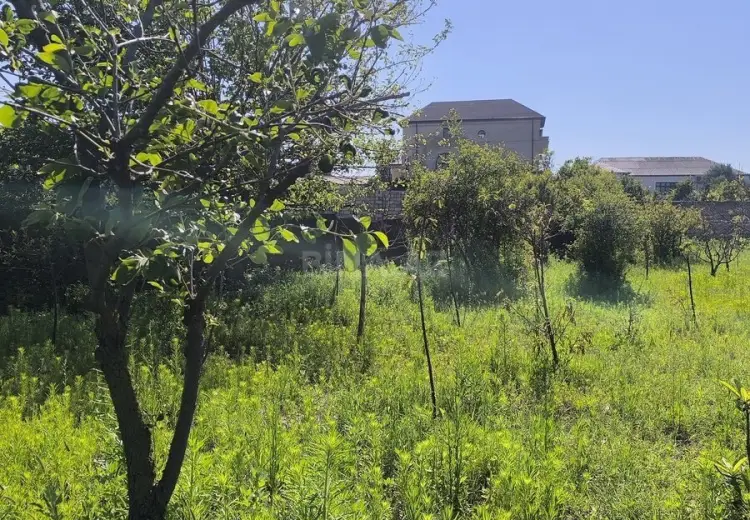 4 sot Torpaq Satılır, Novxanı, Abşeron