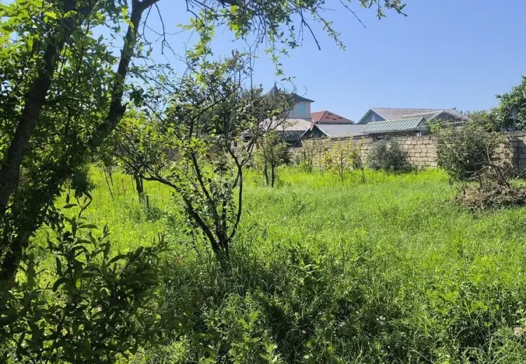 4 sot Torpaq Satılır, Novxanı, Abşeron