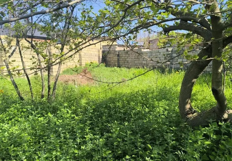 4 sot Torpaq Satılır, Novxanı, Abşeron