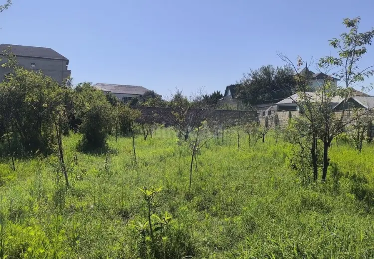 4 sot Torpaq Satılır, Novxanı, Abşeron