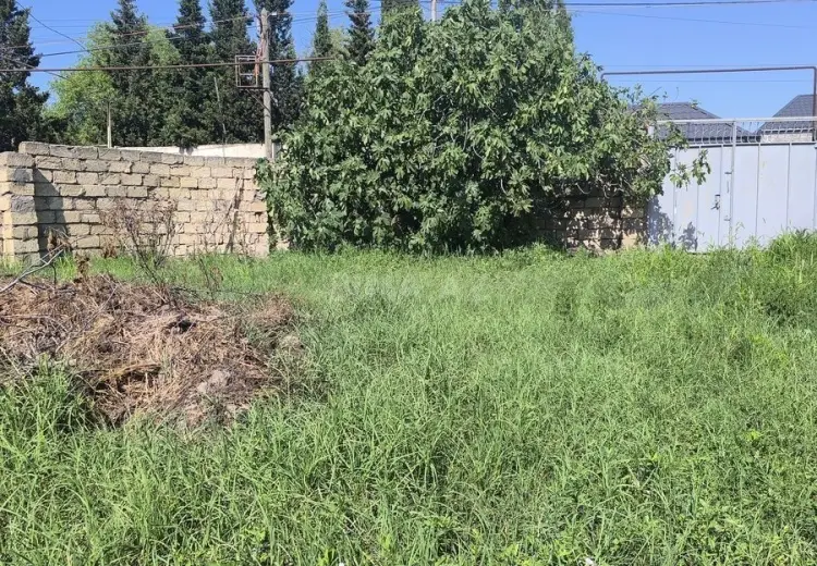 4 sot Torpaq Satılır, Novxanı, Abşeron