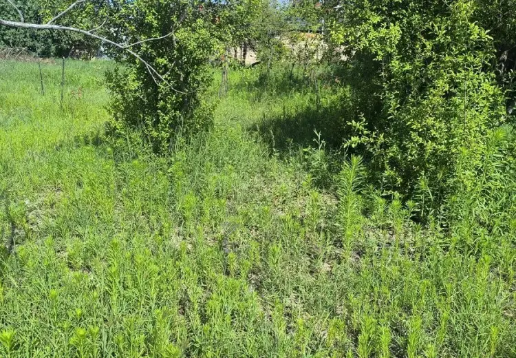 3 sot Torpaq Satılır, Novxanı, Abşeron