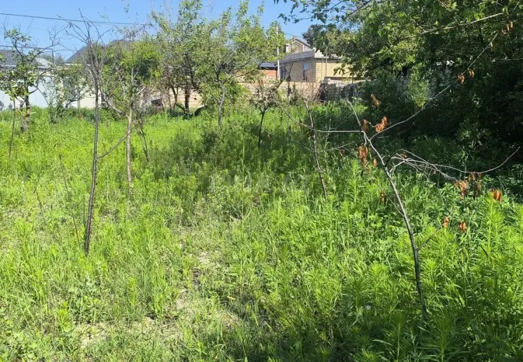 3 sot Torpaq Satılır, Novxanı, Abşeron