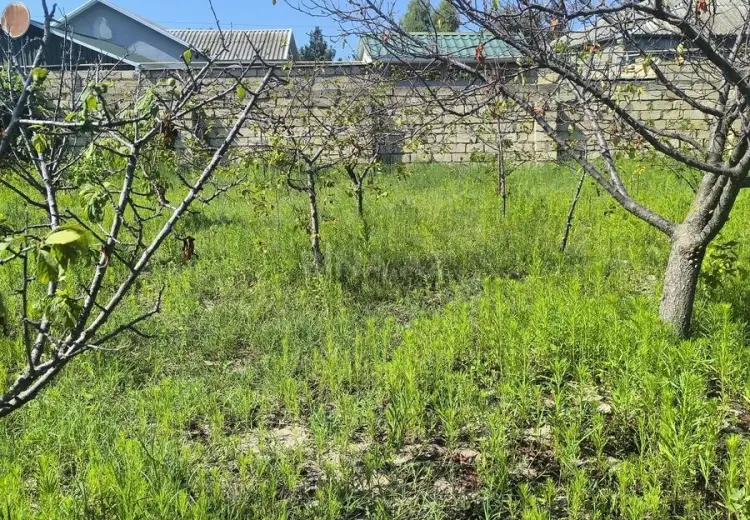 3 sot Torpaq Satılır, Novxanı, Abşeron