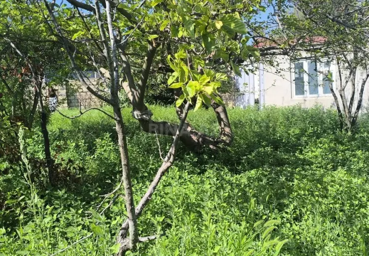 3 sot Torpaq Satılır, Novxanı, Abşeron