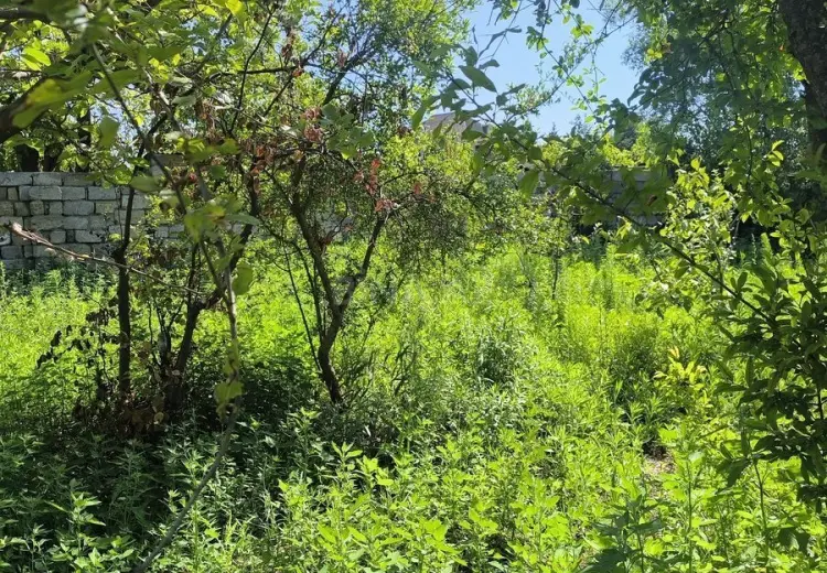 3 sot Torpaq Satılır, Novxanı, Abşeron