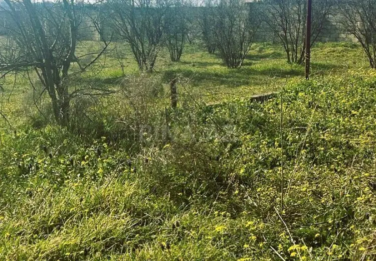 23 sot Torpaq Satılır, Sumqayıt