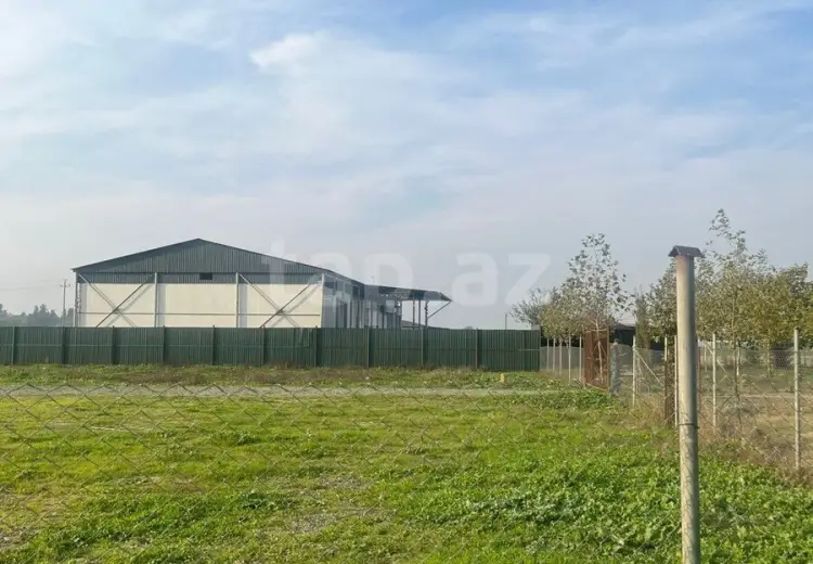 0 m² Obyekt / Ofis , Bakı