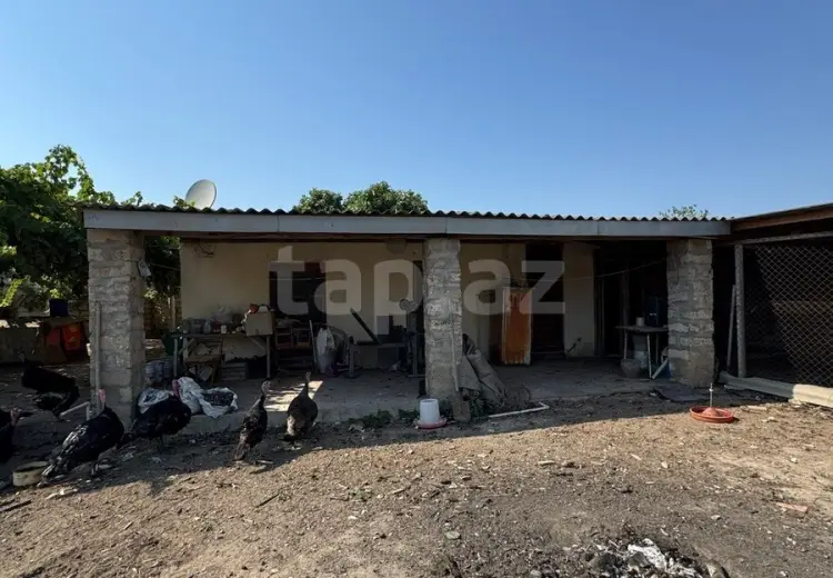0 m² Obyekt / Ofis , Binə qəs., Xəzər, Bakı