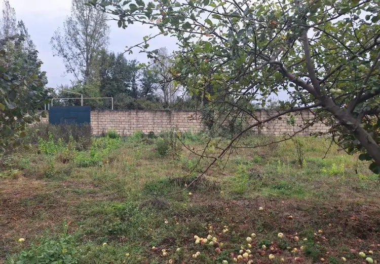 33 sot Torpaq Satılır, Qəbələ