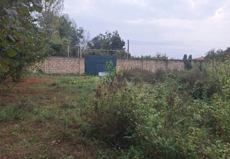 33 sot Torpaq Satılır, Qəbələ