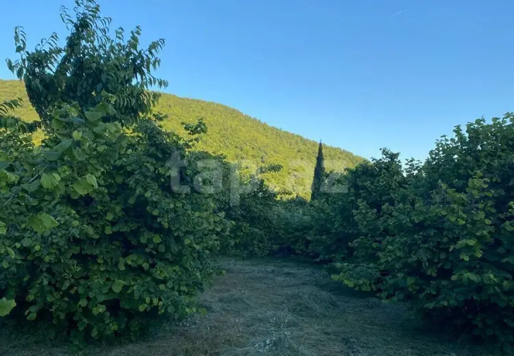 0 m² Obyekt / Ofis , Qax