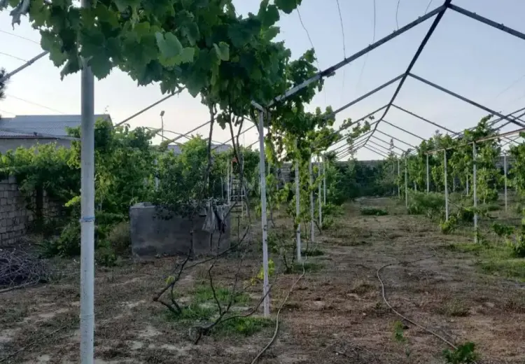 24 sot Torpaq Satılır, Sabunçu, Bakı