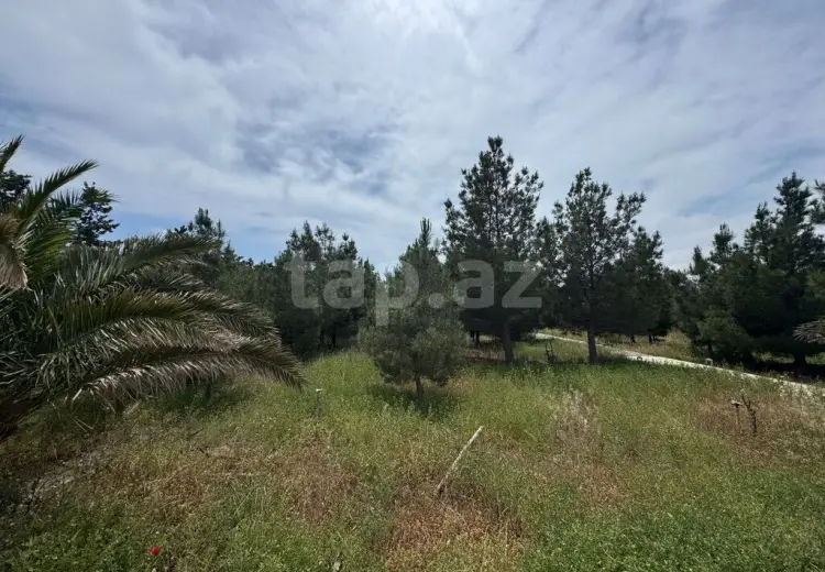 0 m² Obyekt / Ofis , Şüvəlan, Xəzər, Bakı