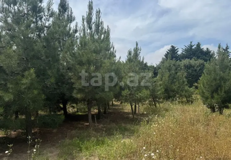0 m² Obyekt / Ofis , Şüvəlan, Xəzər, Bakı