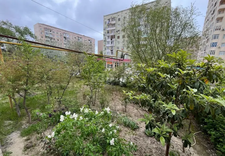 3 otaqlı mənzil , Sumqayıt