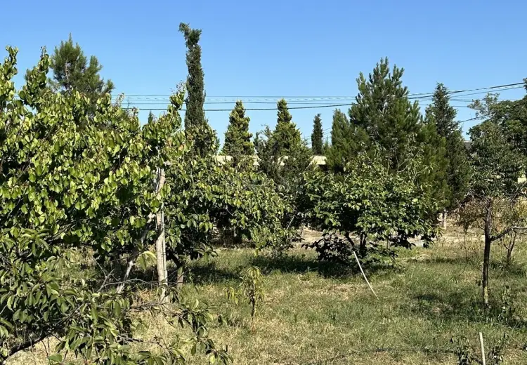 2 sot Torpaq Satılır, Goradil, Abşeron