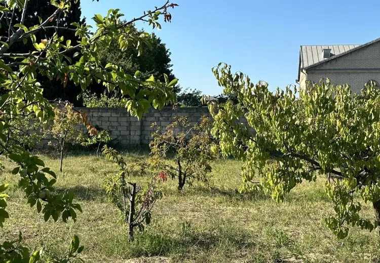 3 sot Torpaq Satılır, Goradil, Abşeron