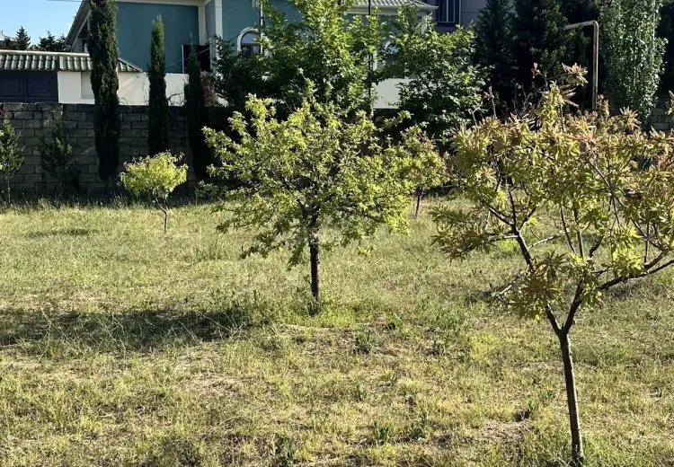 3 sot Torpaq Satılır, Goradil, Abşeron