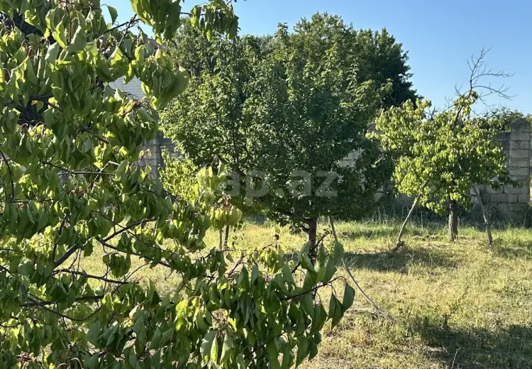 0 m² Obyekt / Ofis , Goradil, Abşeron