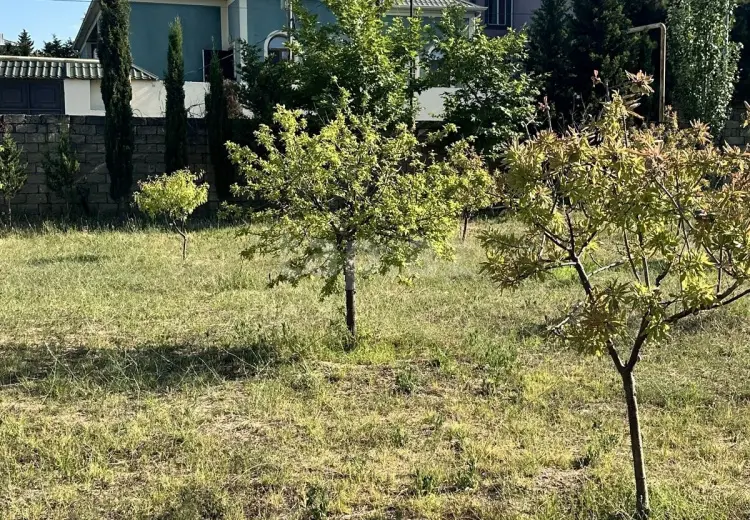0 m² Obyekt / Ofis , Goradil, Abşeron