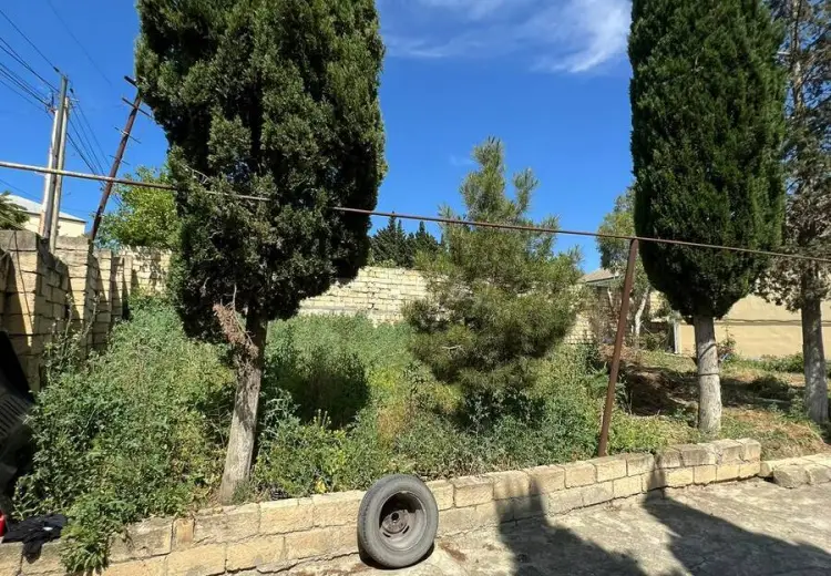 3 sot Torpaq Satılır, Saray, Abşeron