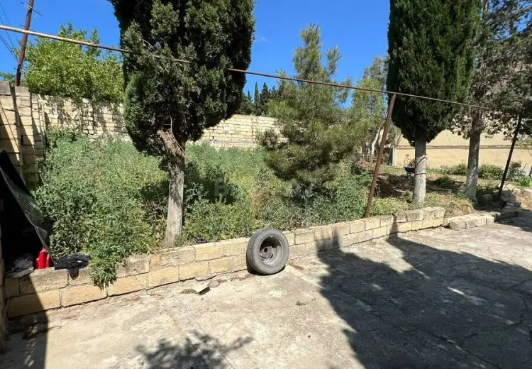 3 sot Torpaq Satılır, Saray, Abşeron