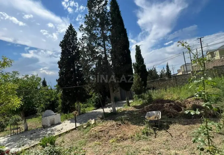 3 sot Torpaq Satılır, Saray, Abşeron
