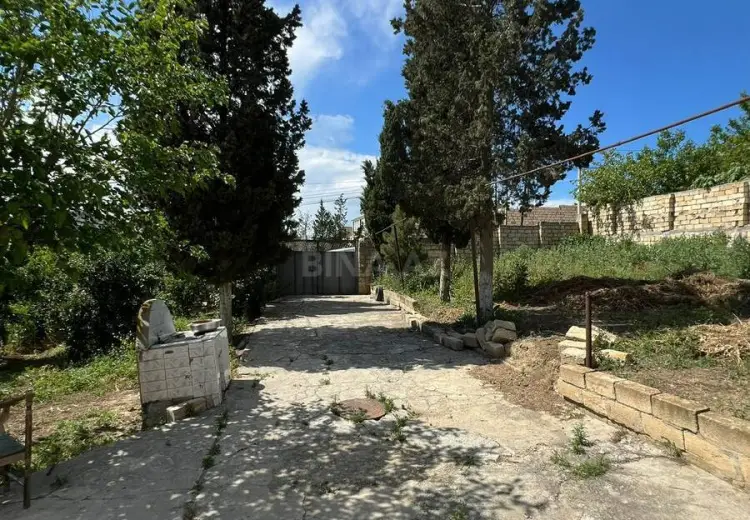 3 sot Torpaq Satılır, Saray, Abşeron
