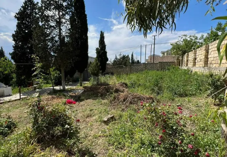 3 sot Torpaq Satılır, Saray, Abşeron