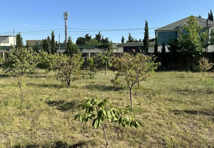 5 sot Torpaq Satılır, Goradil, Abşeron