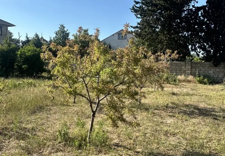 5 sot Torpaq Satılır, Goradil, Abşeron