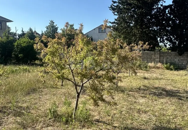 0 m² Obyekt / Ofis , Goradil, Abşeron