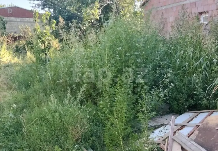 3 otaqlı mənzil , Sumqayıt