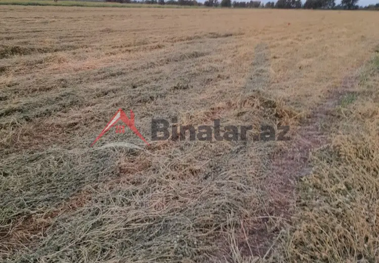250 sot Torpaq Satılır, Gəncə